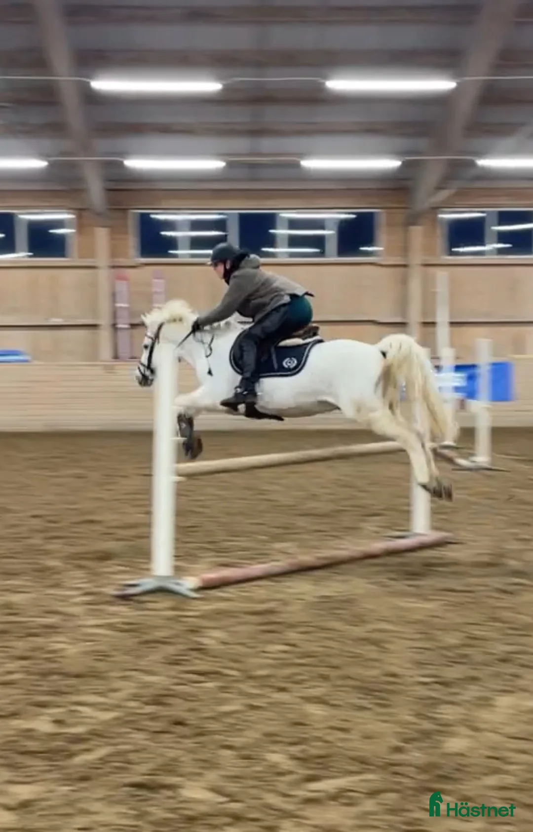  hästservice finnes: Tillridning/sommarhjälp/bete/tävling mm i Sollentuna - Annons 3