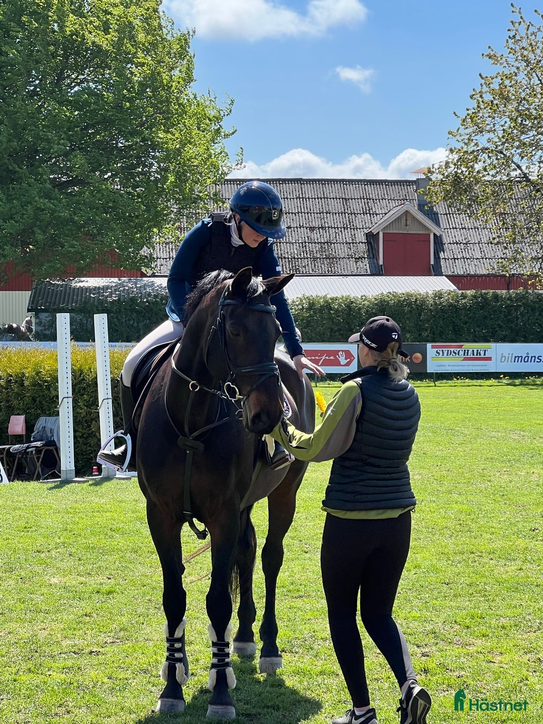 Hoppning hästar till salu: fantastiskt sto i Helsingborg - Annons 1