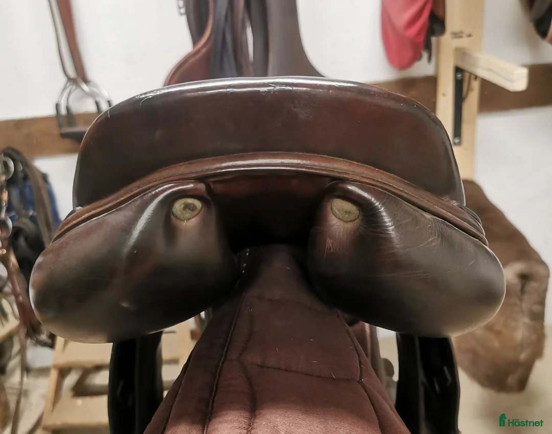 Sadlar hästutrustning till salu: Equipe Extreme 17" - Annons 7