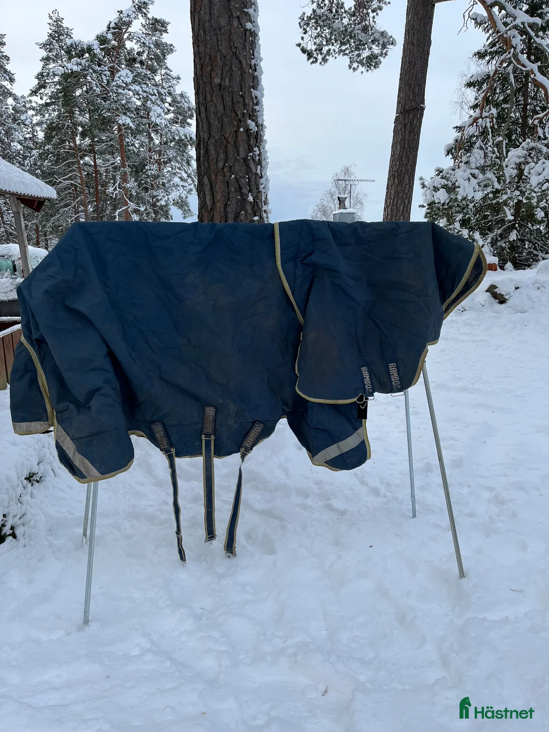 Täcken hästutrustning till salu: Horseware Rambo rug 145cm - Annons 3