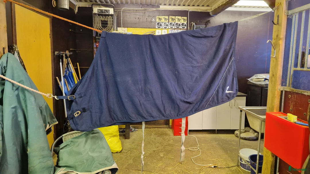 Täcken hästutrustning till salu: Fleecetäcke från Horze med glitter - Annons 1