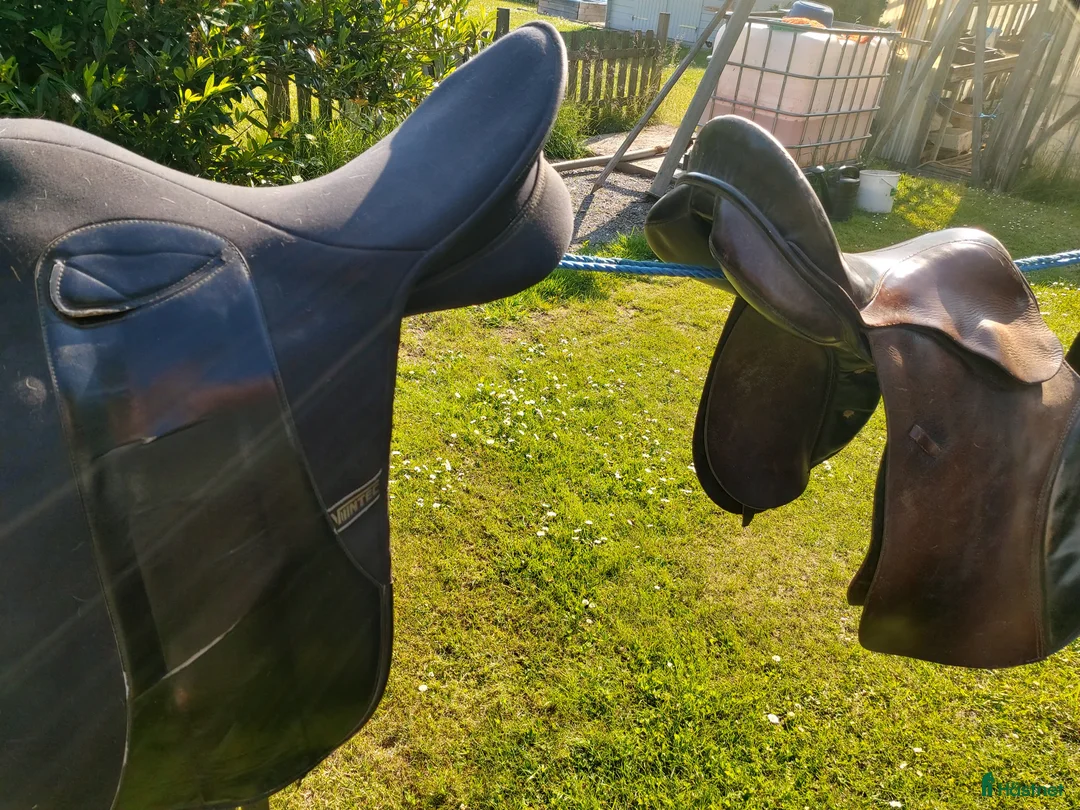 Sadlar hästutrustning till salu: hästutrustning i Visingsö - Annons 7