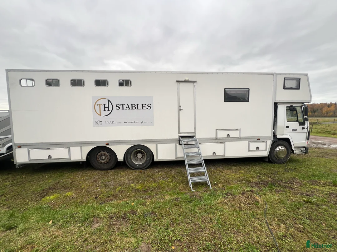 Hästlastbilar  fordon & transport till salu: Hästlastbil med stor bodel i Motala - Annons 3