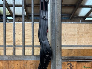 Sadeltillbehör hästutrustning till salu: Lippo - sadelgjord i Kållered - Annons 8