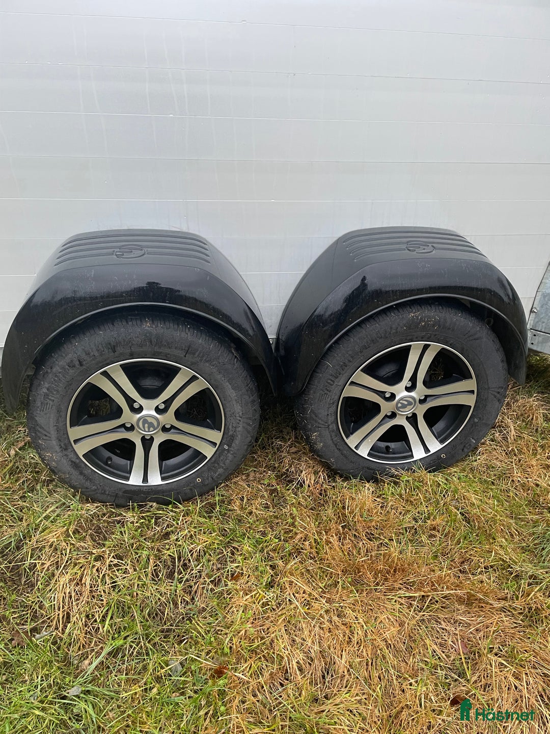 Hästtransporter  fordon & transport till salu: Clear round Alu i Kinnarumma - Annons 9