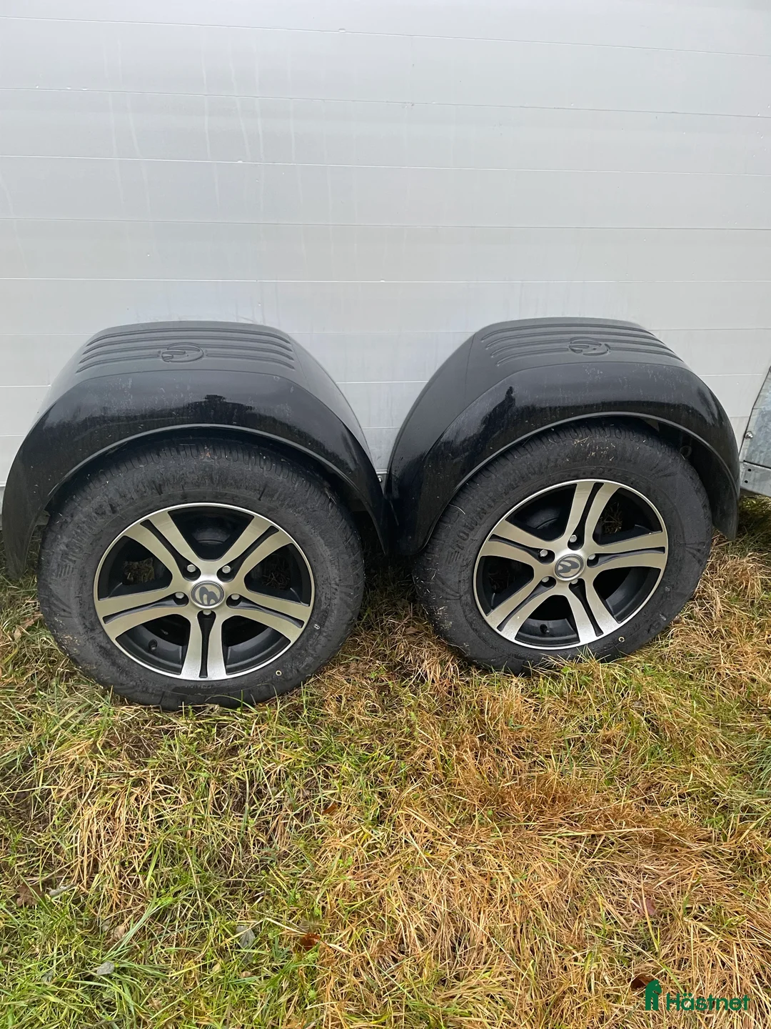 Hästtransporter  fordon & transport till salu: Clear round Alu - Annons 8