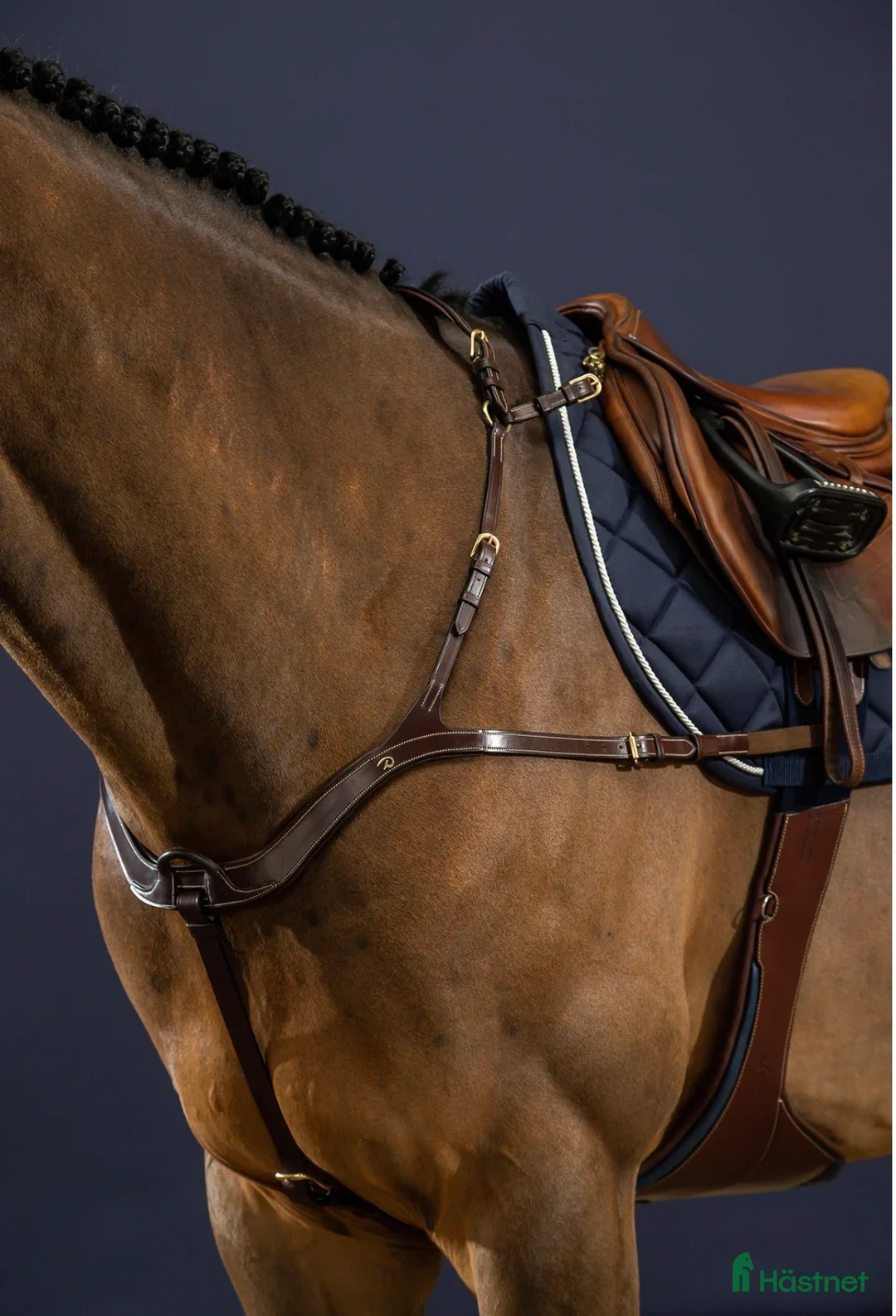 Sadeltillbehör hästutrustning till salu: Dyon förbygel i Täby - Annons 1