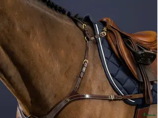 Sadeltillbehör hästutrustning till salu: Dyon förbygel - Annons 1