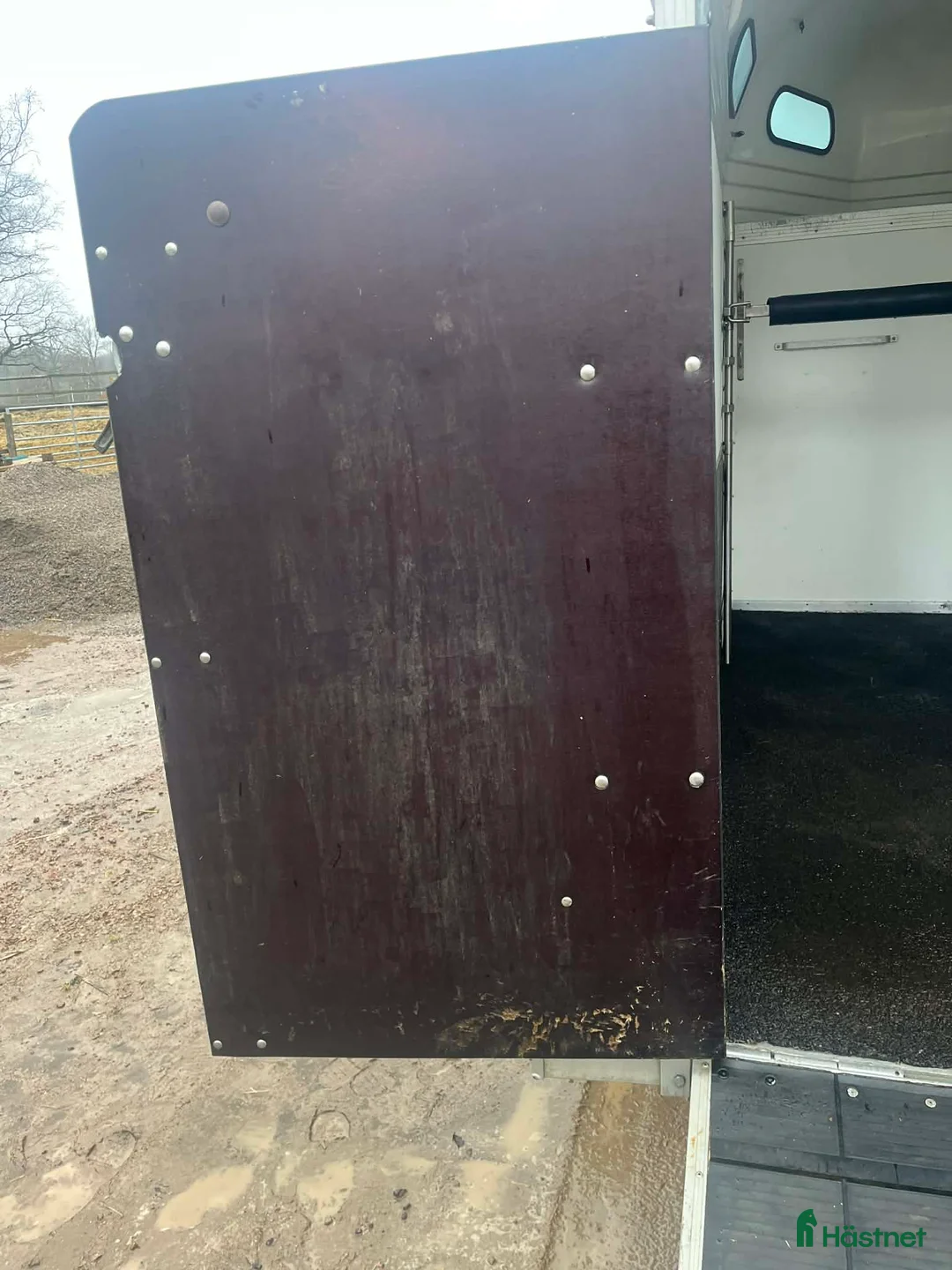 Hästtransporter  fordon & transport till salu: Forzab cavallo SEH 20 - Annons 11