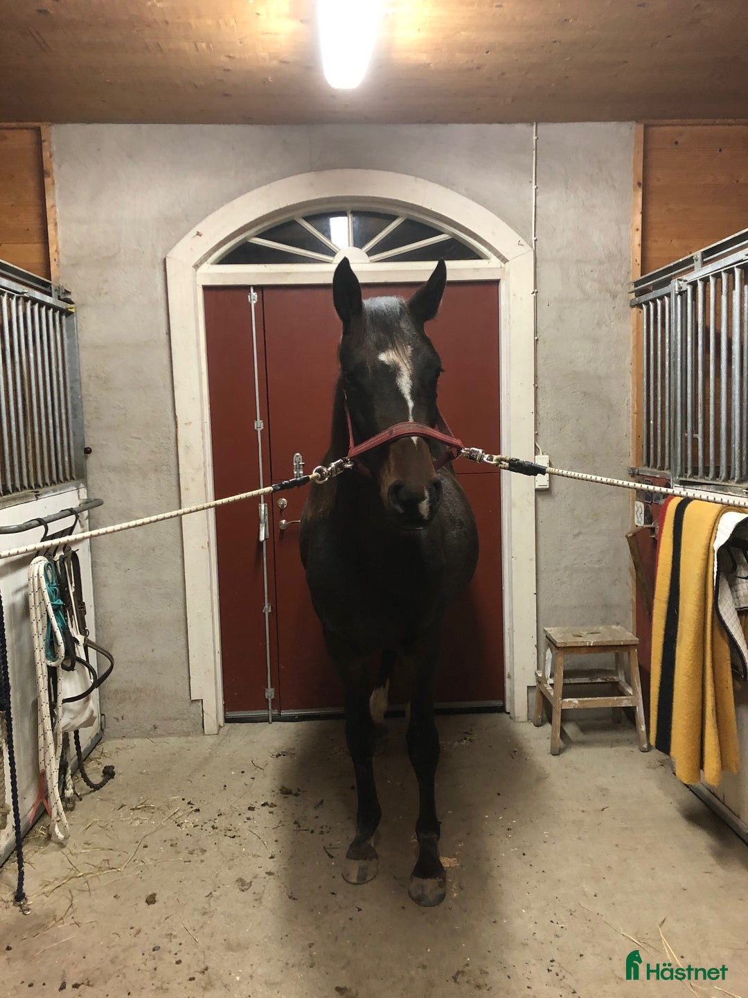  stallplats finnes: Uthyres stall med lösdrift - Strängnäs/Björsund i Strängnäs - Annons 2