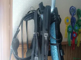 Körselar körning till salu: loksele svensktillverkad - Annons 1