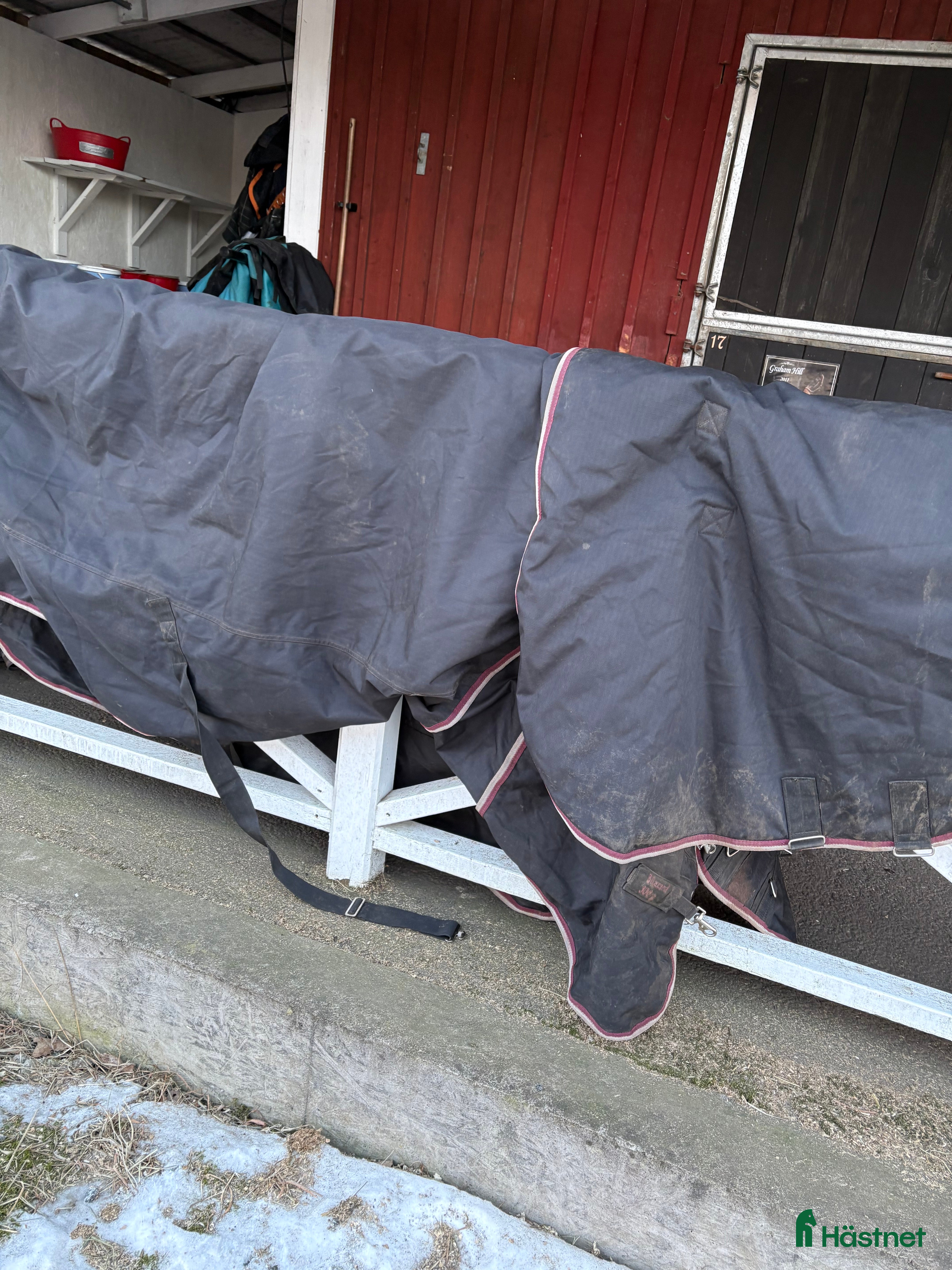 Täcken hästutrustning Vintertäcke med hals strl 165 säljes i Borås - Annons 3