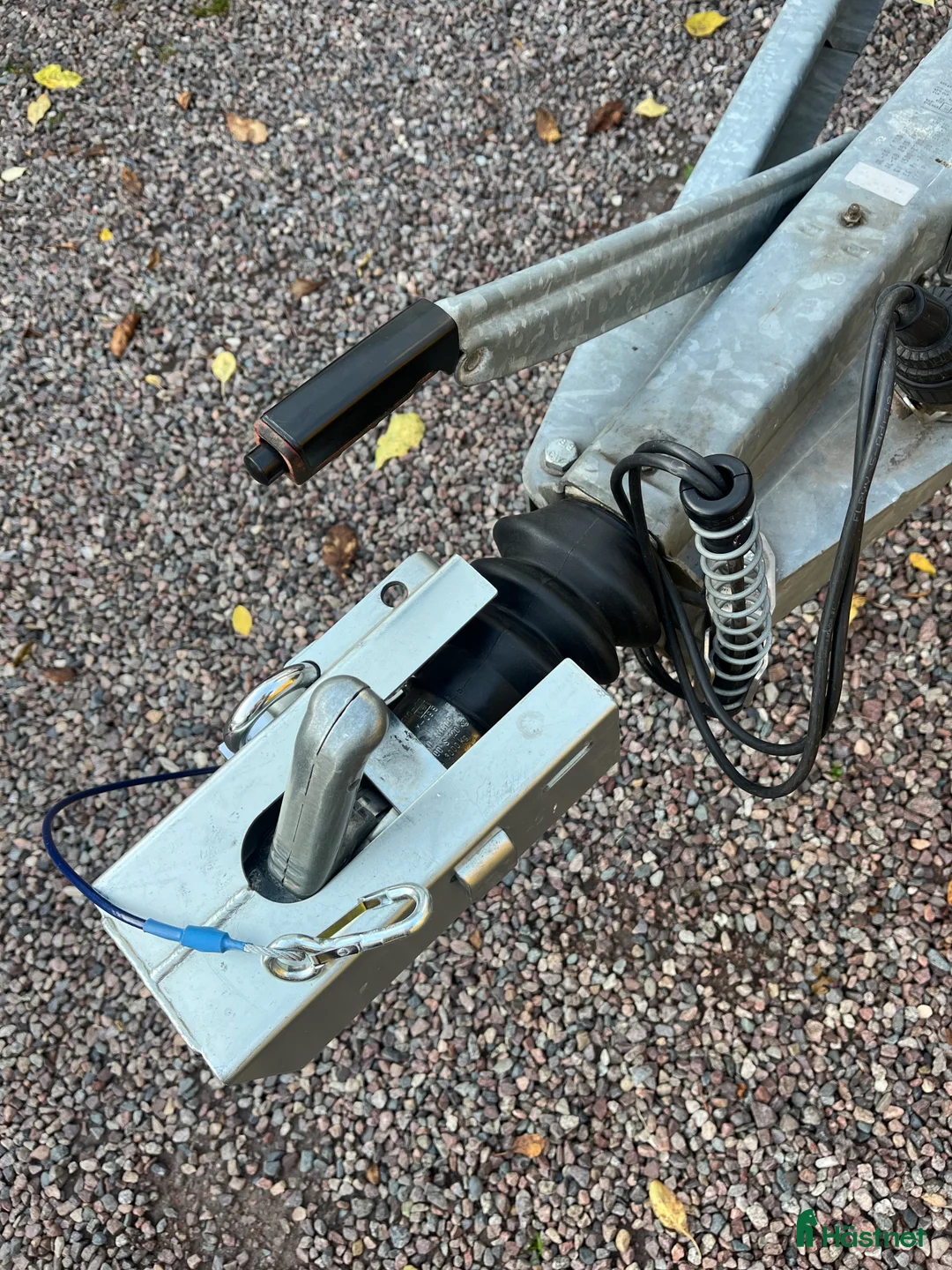 Hästtransporter  fordon & transport till salu: Humbaur Zephir hästtransport - Annons 9