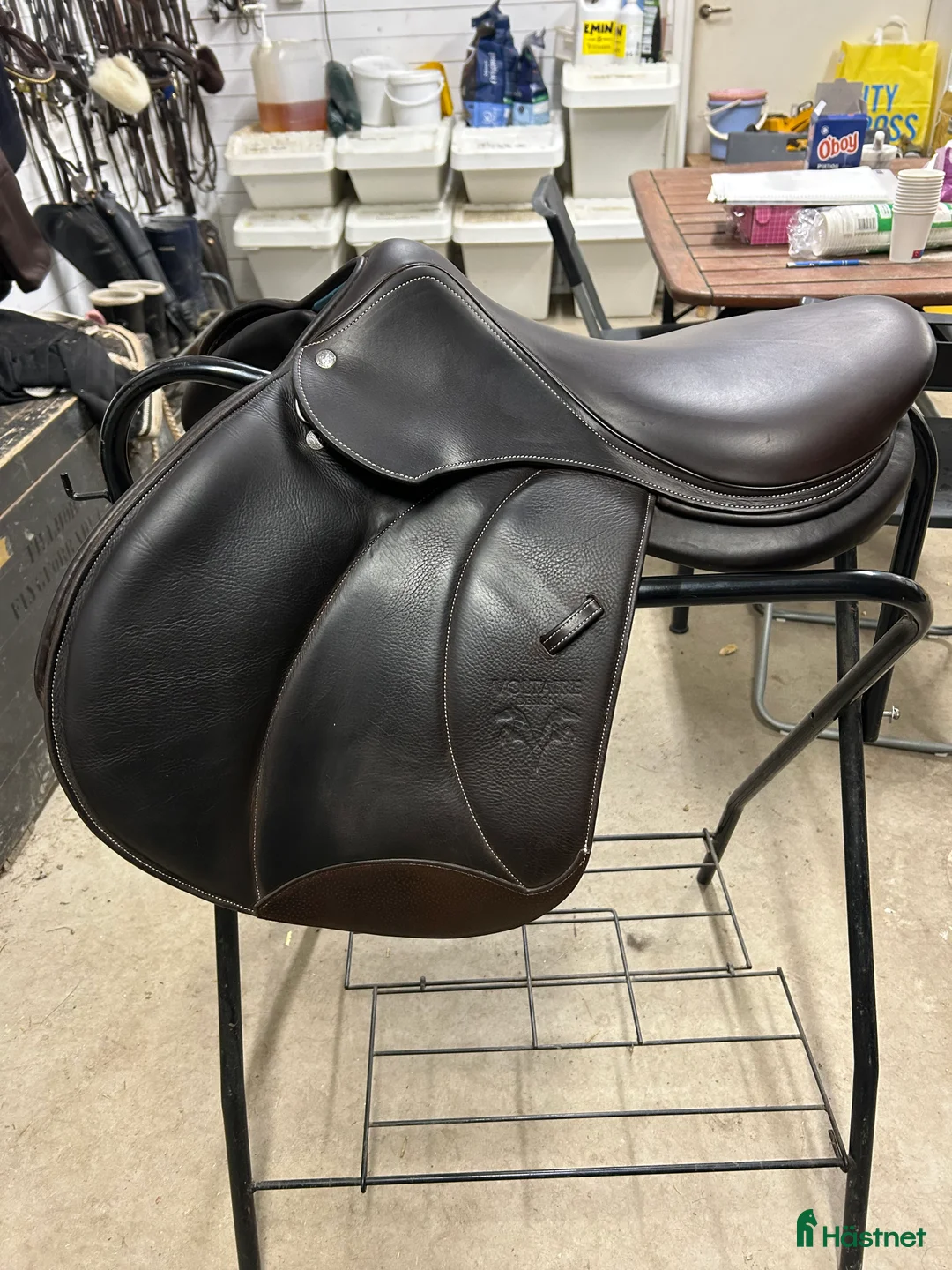 Sadlar hästutrustning till salu: Voltaire design Palm beach - Annons 2