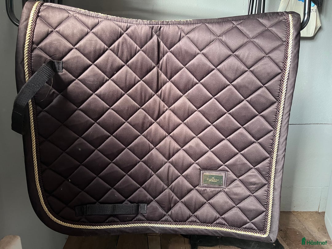 Schabrak & Vojlockar hästutrustning till salu: Ps of Sweden schabrak  i Borlänge - Annons 1