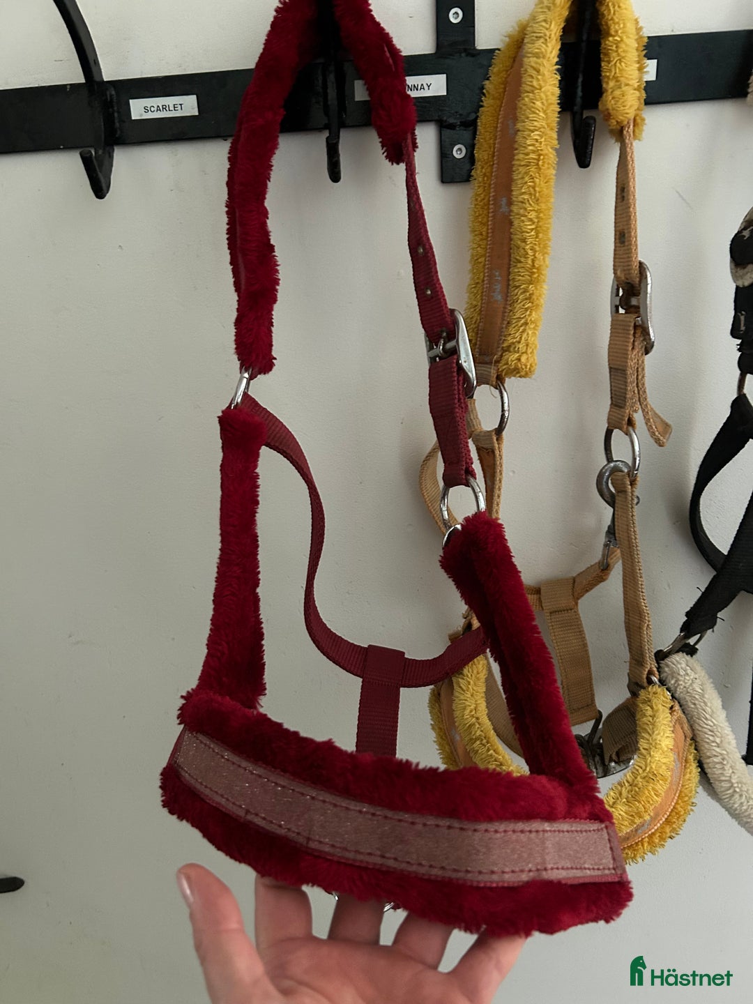 Övrig Hästutrustning hästutrustning till salu: 4 fluff grimmor stl. Cob i Vellinge - Annons 5