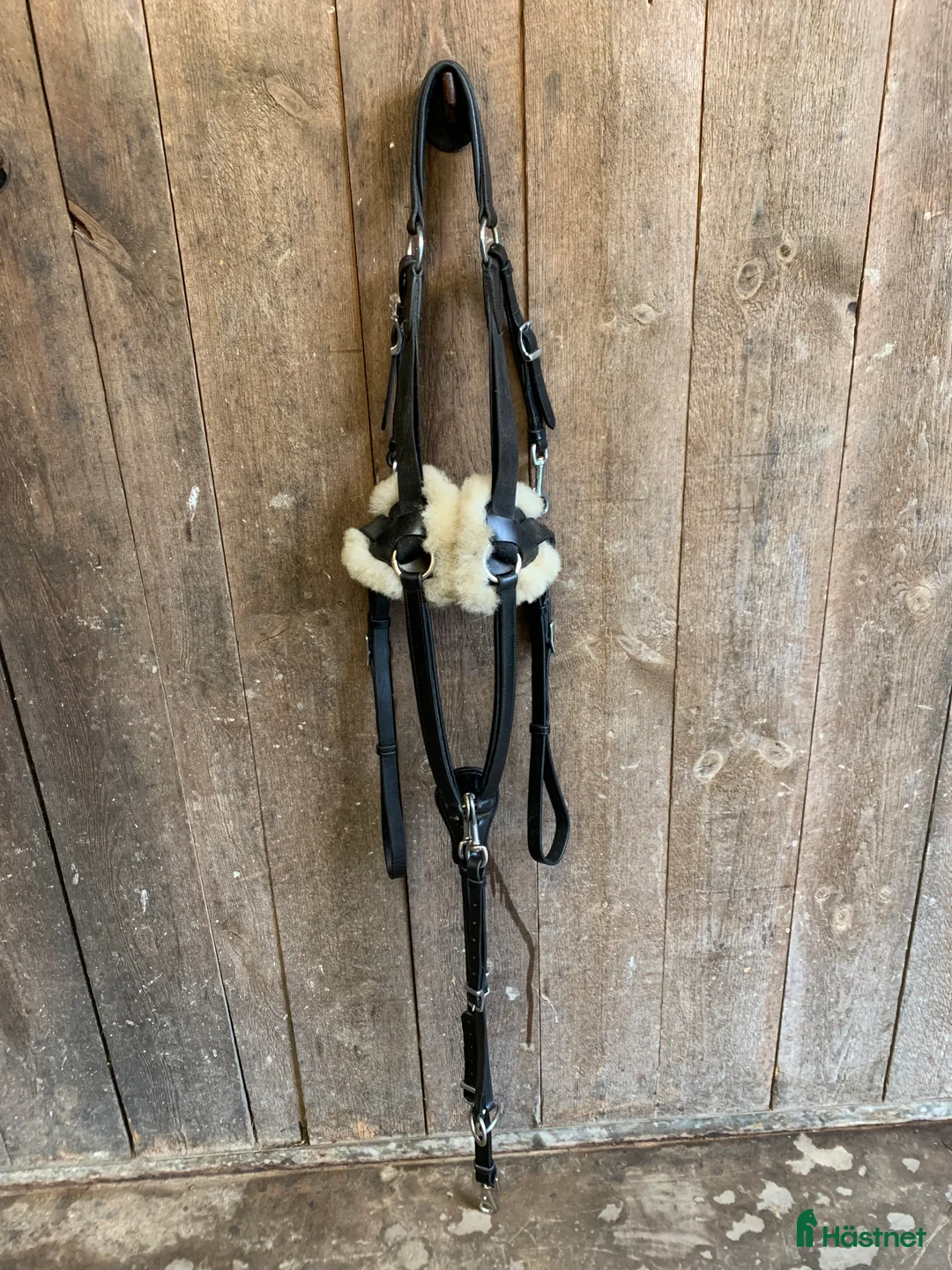 Övrig Hästutrustning hästutrustning till salu: Förbygel - Annons 1