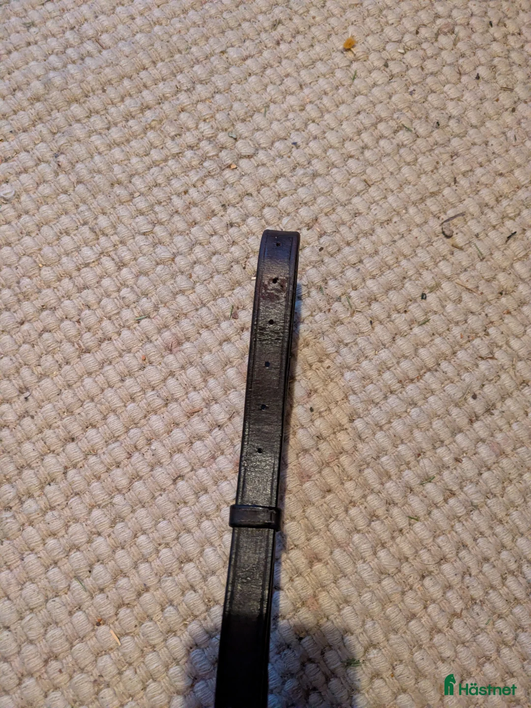 Sadeltillbehör hästutrustning till salu: Fin Dyon förbygel med martingal  i Björklinge - Annons 5