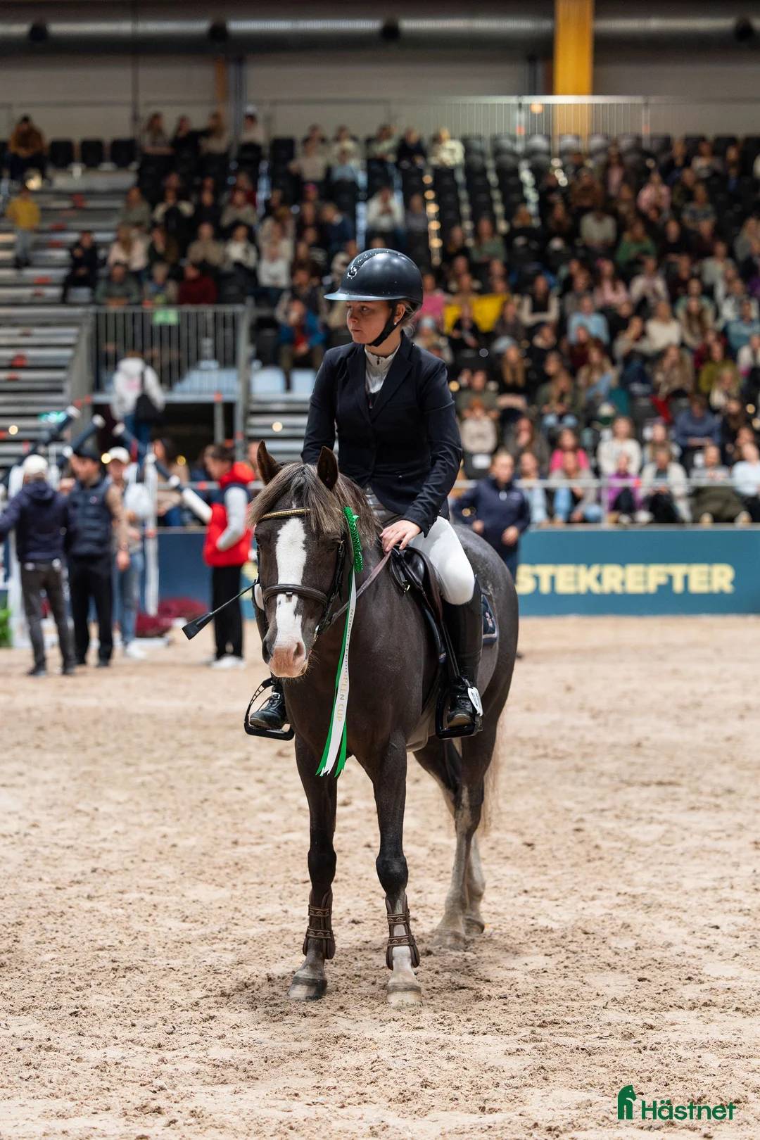 Hoppning hästar till salu: Fantastisk kat.2 sprangponni selges i Miland - Annons 2