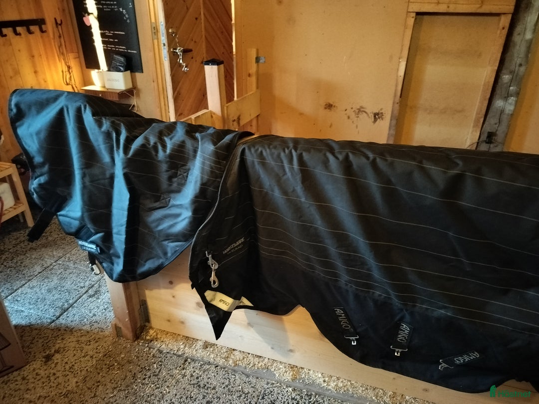 Täcken hästutrustning till salu: Reflectech 250g med hals i Luleå - Annons 2