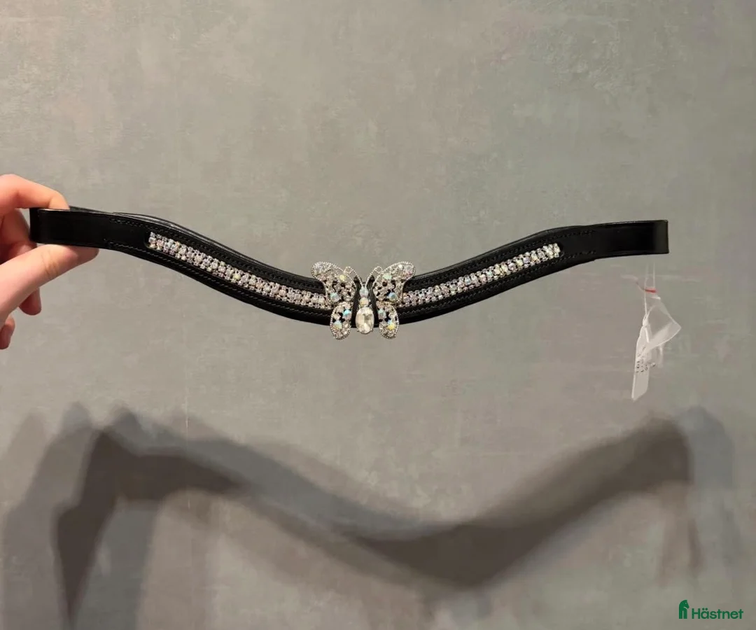 Övrig Hästutrustning hästutrustning till salu: Shettis pannband 3 stycken  - Annons 1