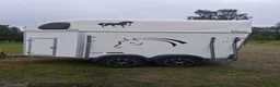 Hästtransporter  fordon & transport till salu: Cheval liberte nyrenoverad  - Annons 3