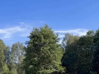 stallplats Plats för åring på sommarbete 2026 - Annons 4