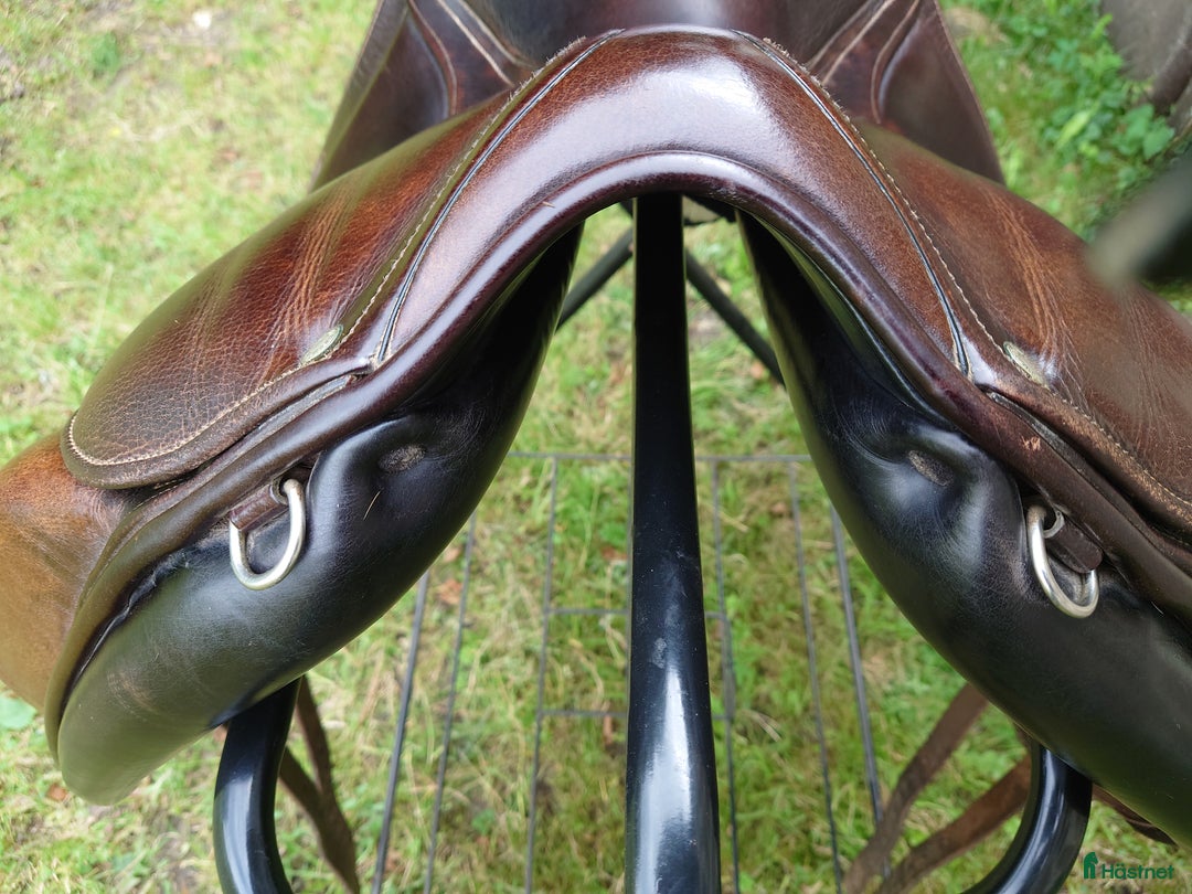 Sadlar hästutrustning till salu: Childeric D1  i Båstad - Annons 3
