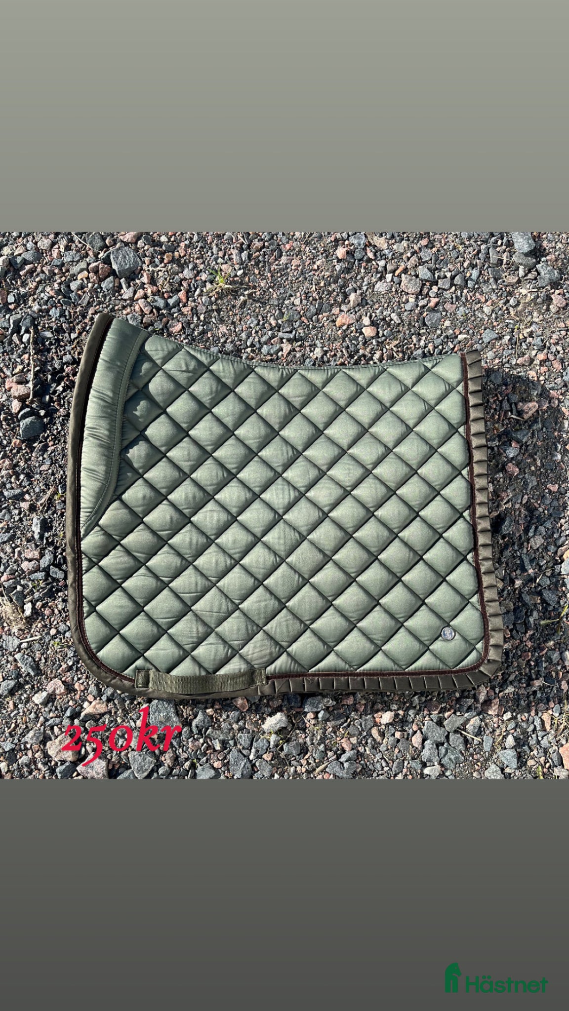 Schabrak & Vojlockar hästutrustning Dressyrschabrak från PS of Sweden! - Annons 1