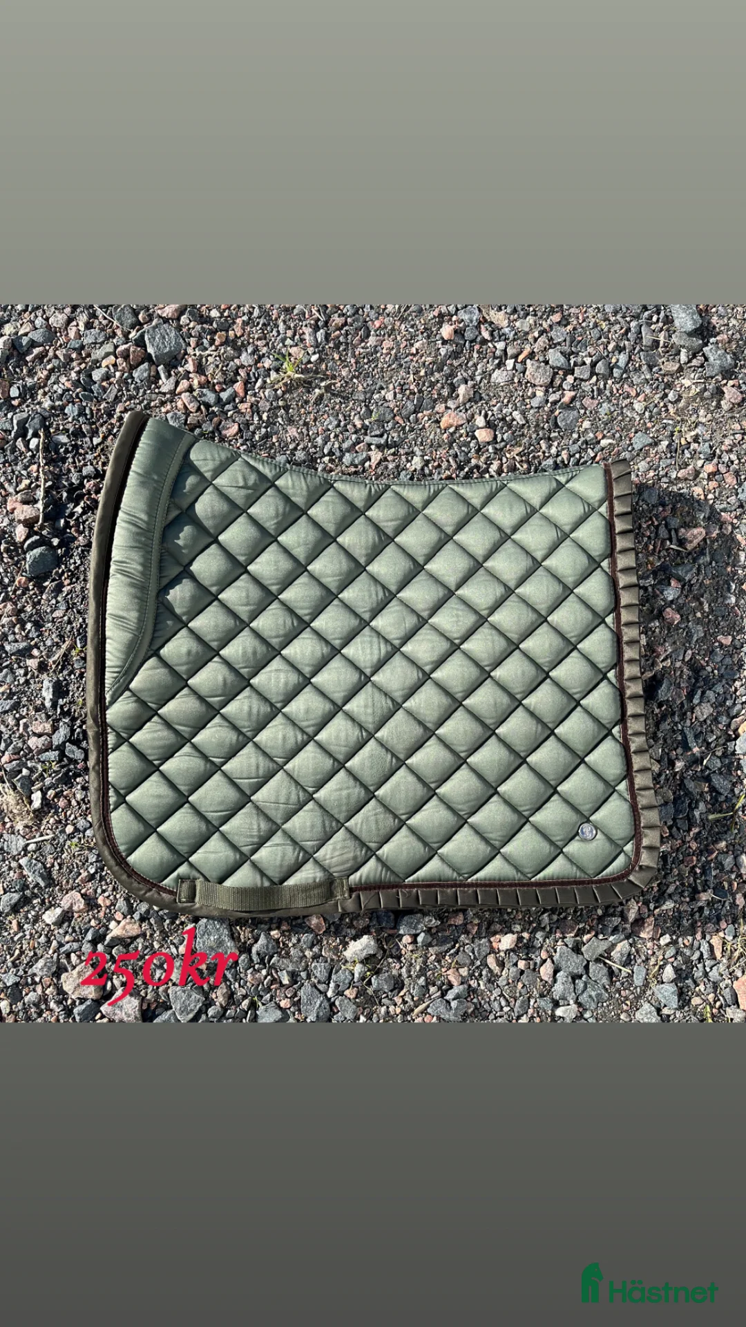 Schabrak & Vojlockar hästutrustning till salu: Dressyrschabrak från PS of Sweden! - Annons 4