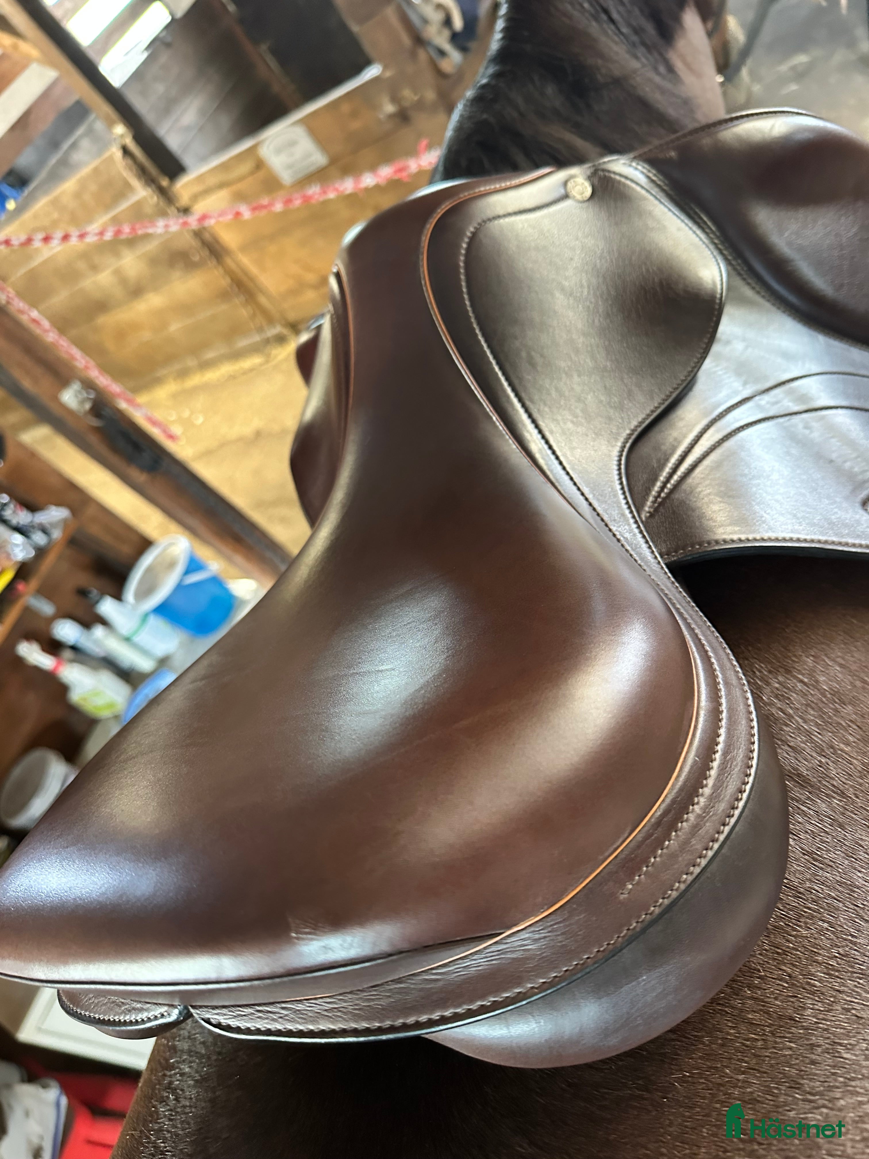 Sadlar hästutrustning till salu: Equipe Expression  i Vittskövle - Annons 9