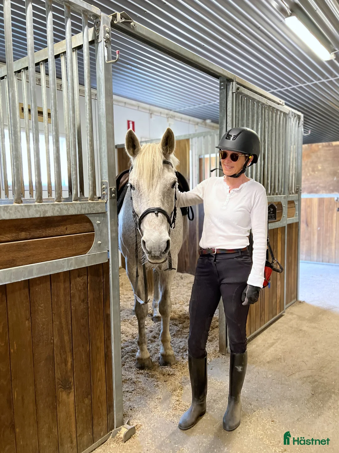 Allround hästar till salu: Vacker herre med hjärta av guld.  i Åre - Annons 7