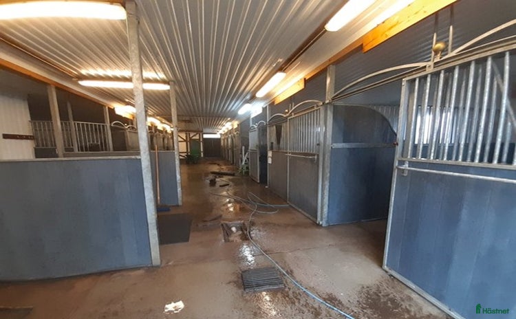  stallplats i Uppsala - Annons 15