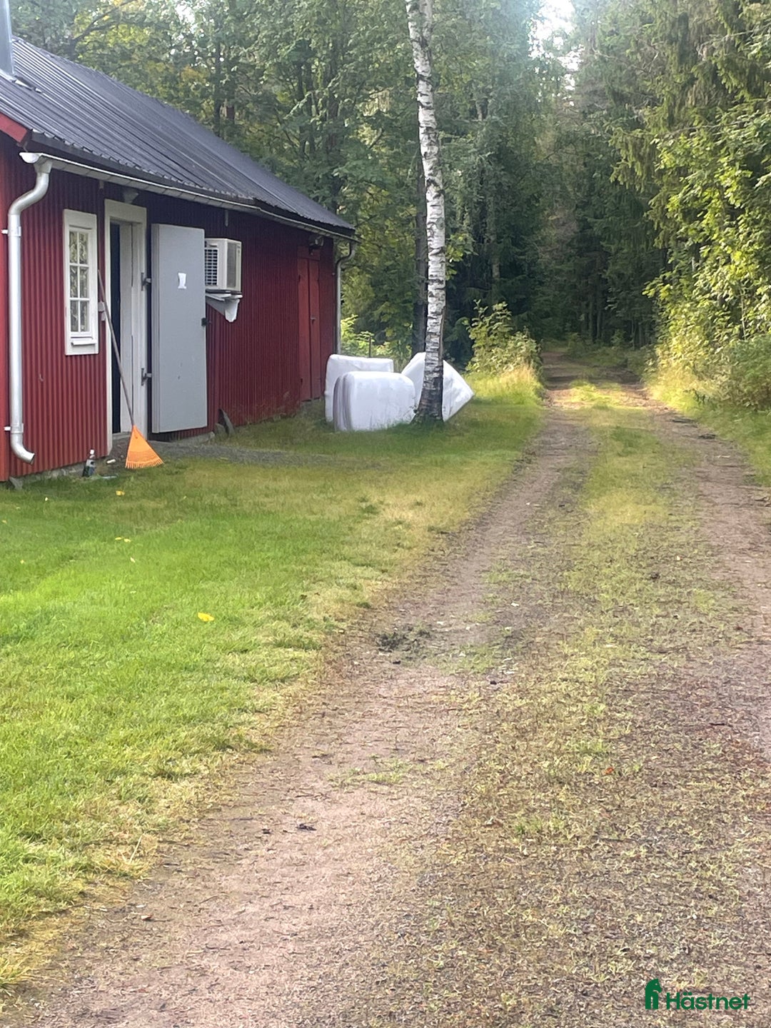  stallplats finnes: Lösdriftsplats med box i Ström i Umeå - Annons 4