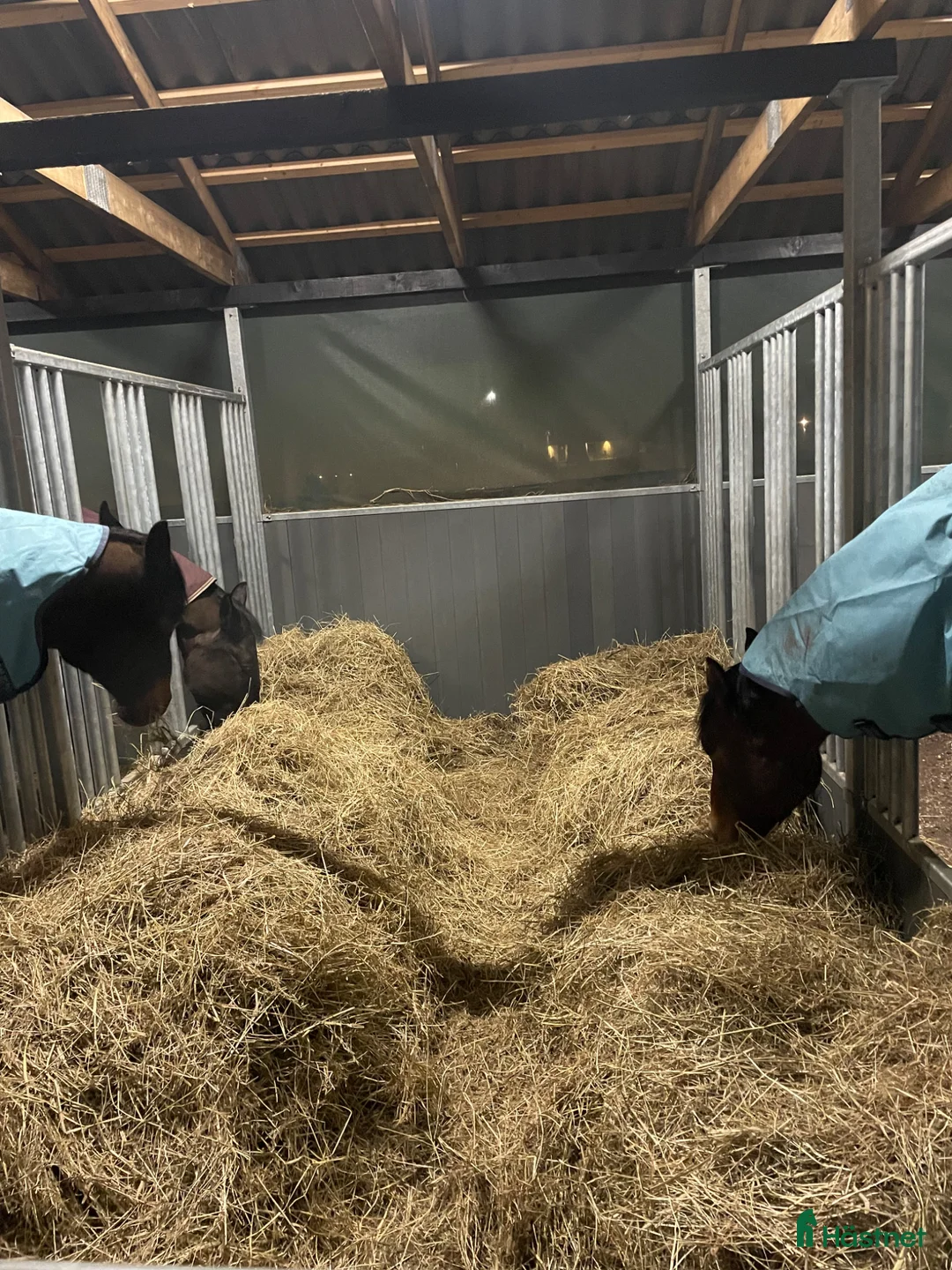  stallplats finnes: LÖSDRIFT  - Annons 5