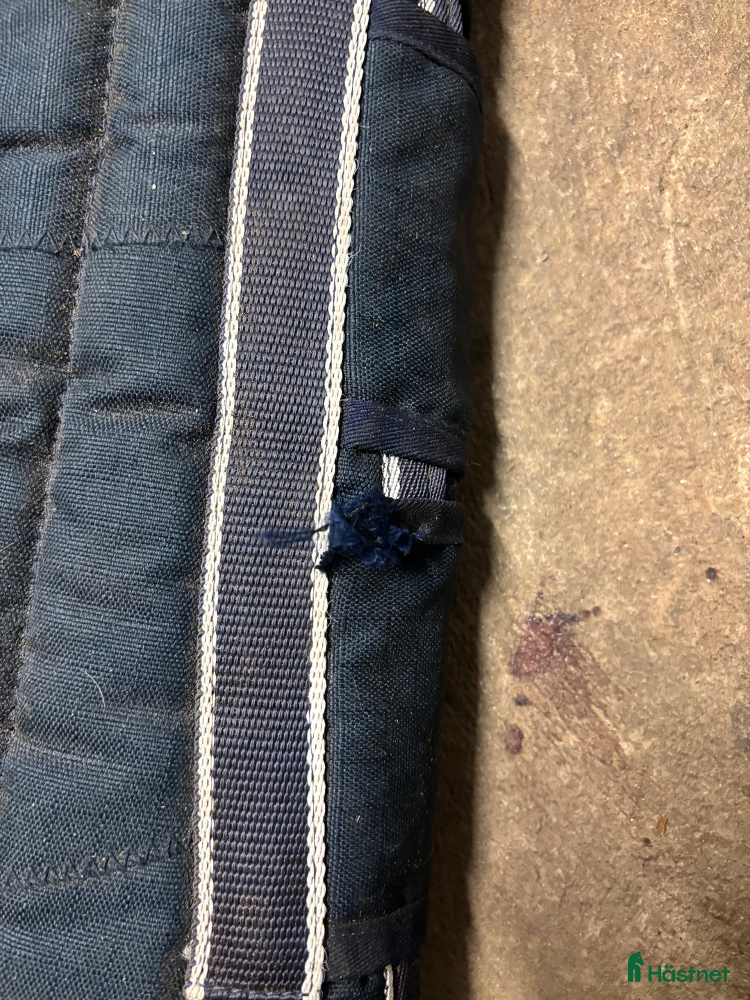 Benskydd hästutrustning till salu: Transportskydd  i Vinninga - Annons 2