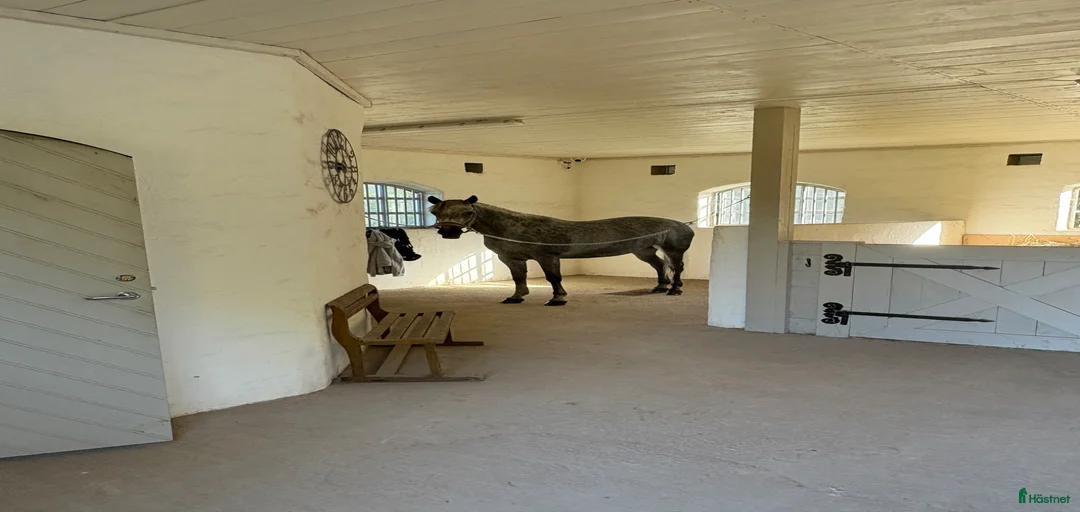 Galleribild {{count}}