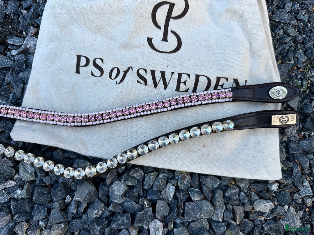 Övrig Hästutrustning hästutrustning till salu: PS Pannband i Köping - Annons 1