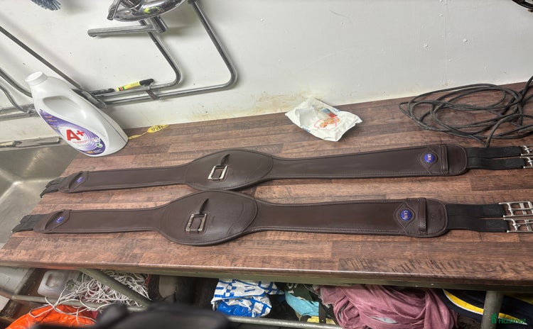 Sadeltillbehör hästutrustning till salu i Skillingaryd - Annons 16