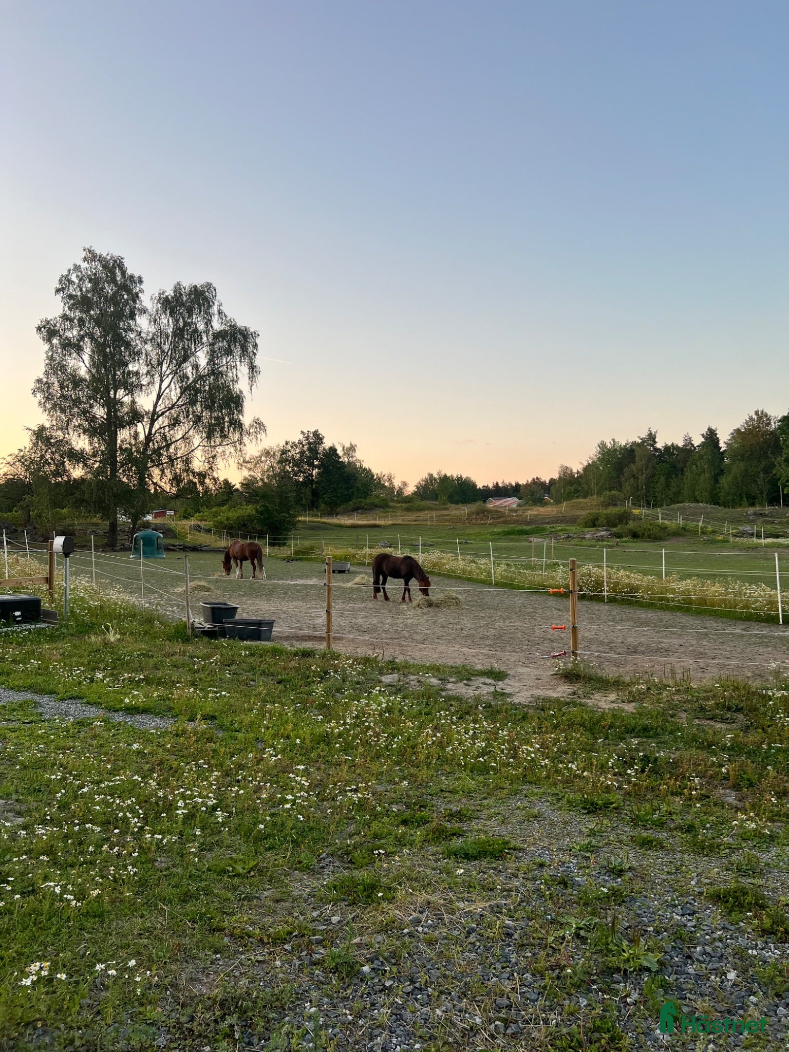  stallplats Stallplats på Smedby gård Åkersberga  - Annons 4