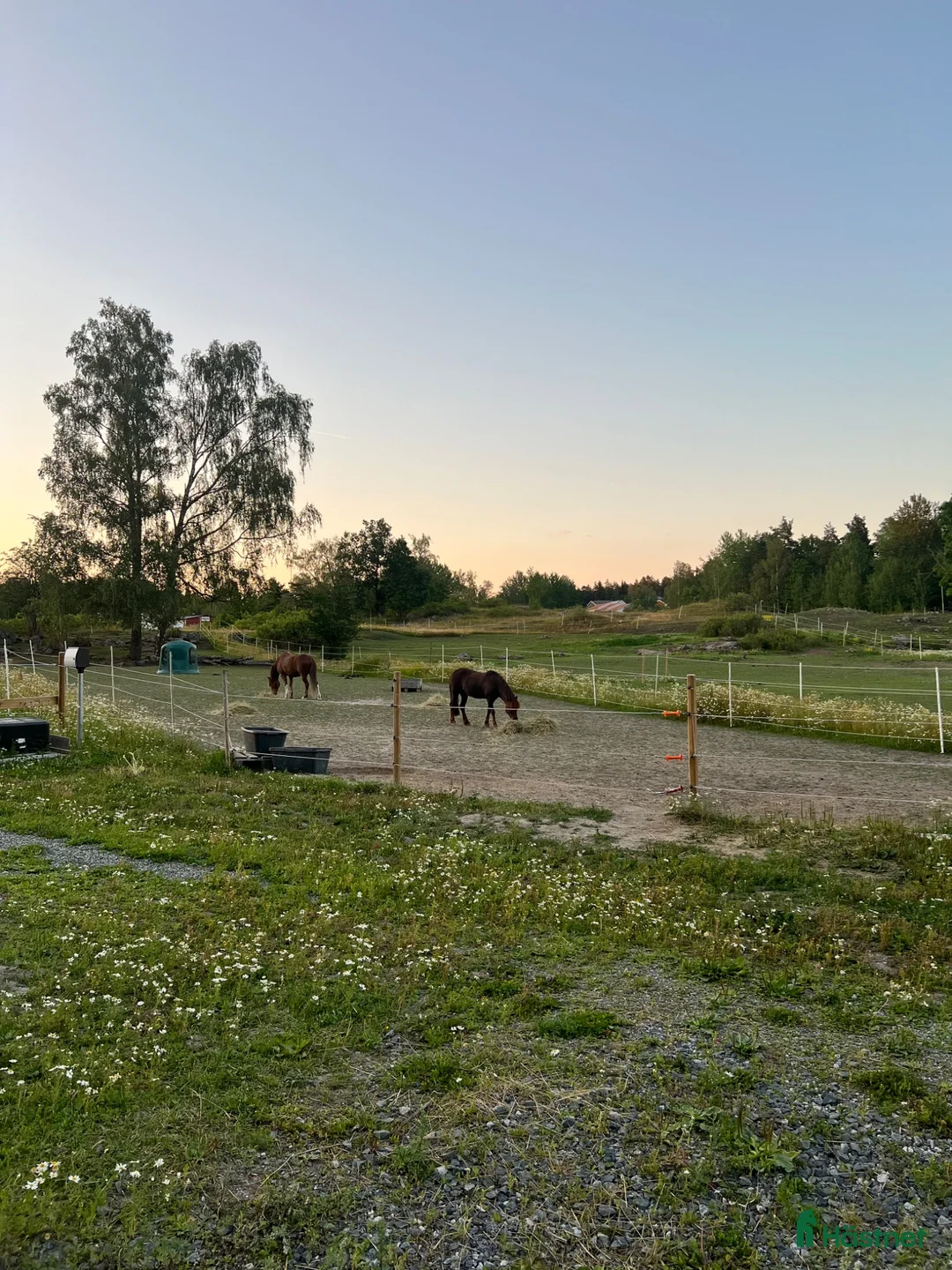  stallplats finnes: Stallplats på Smedby gård Åkersberga  - Annons 1
