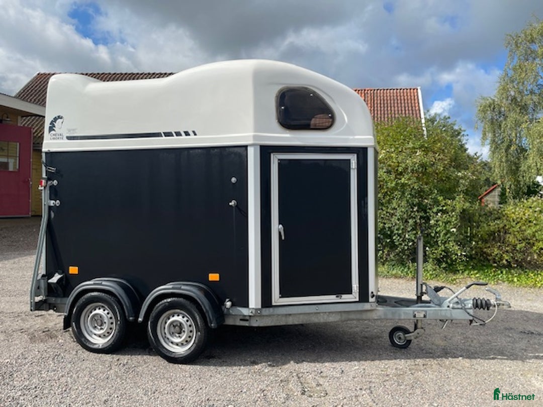 Hästtransporter  fordon & transport till salu: Gold First i Hjärnarp - Annons 1