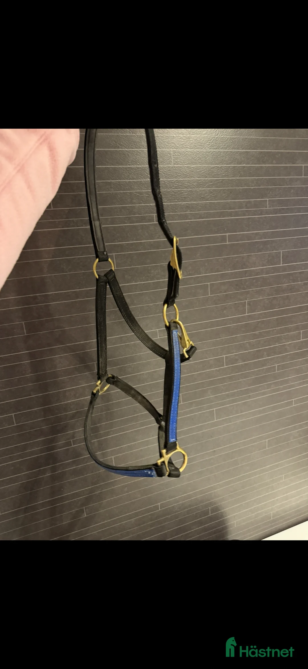 Övrig Hästutrustning hästutrustning till salu: Jätte fin walsh grimma  - Annons 2