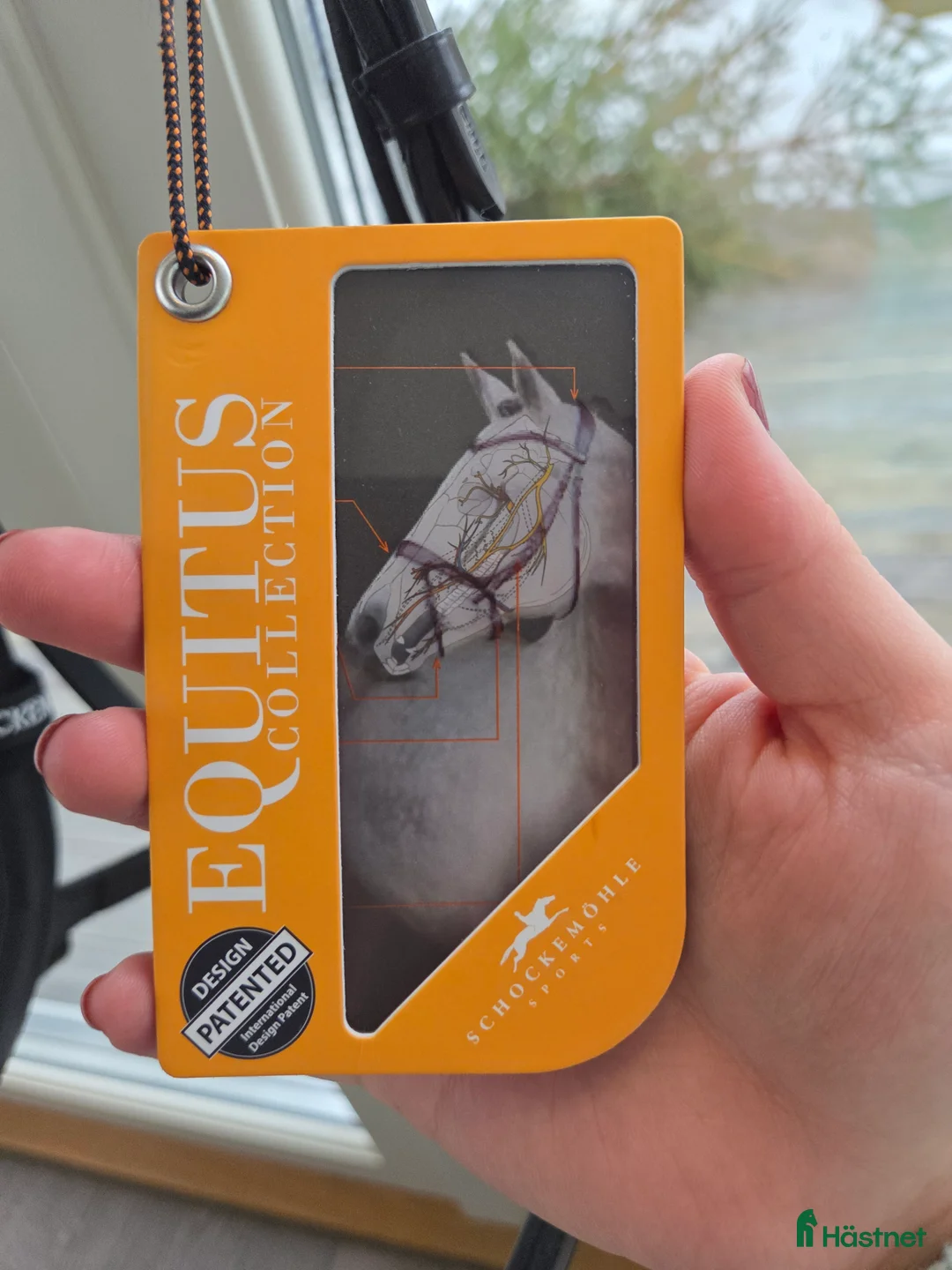 Träns hästutrustning till salu: schockemöhle equitus alpha - Annons 6