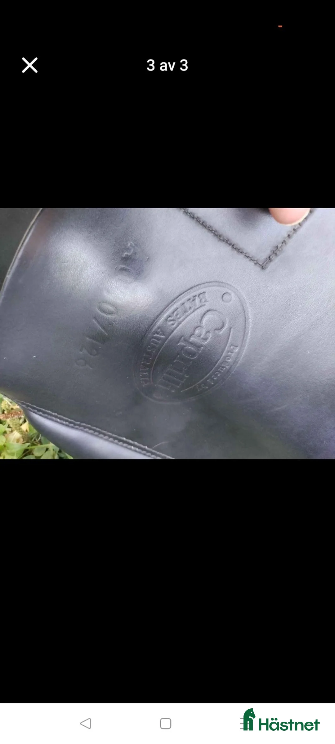 Sadlar hästutrustning till salu: Bates Caprilli  - Annons 3