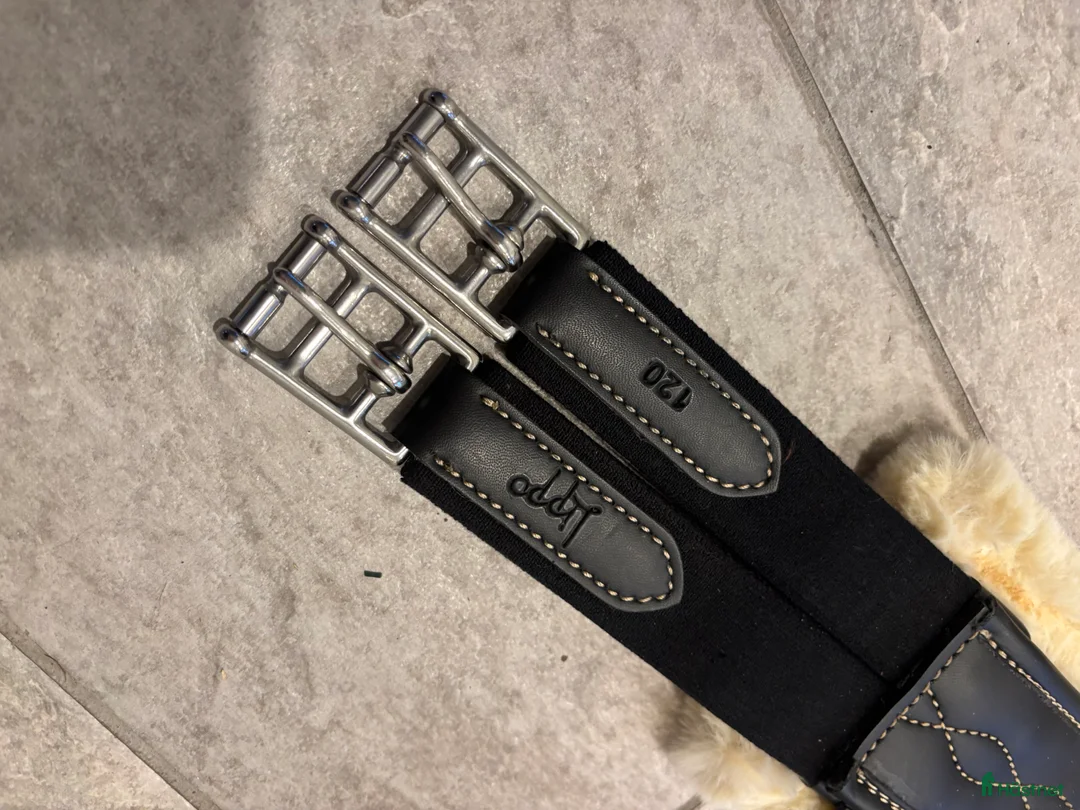 Sadeltillbehör hästutrustning till salu: Anatomisk sadelgjord, magplatta säljes i Västra Frölunda - Annons 3