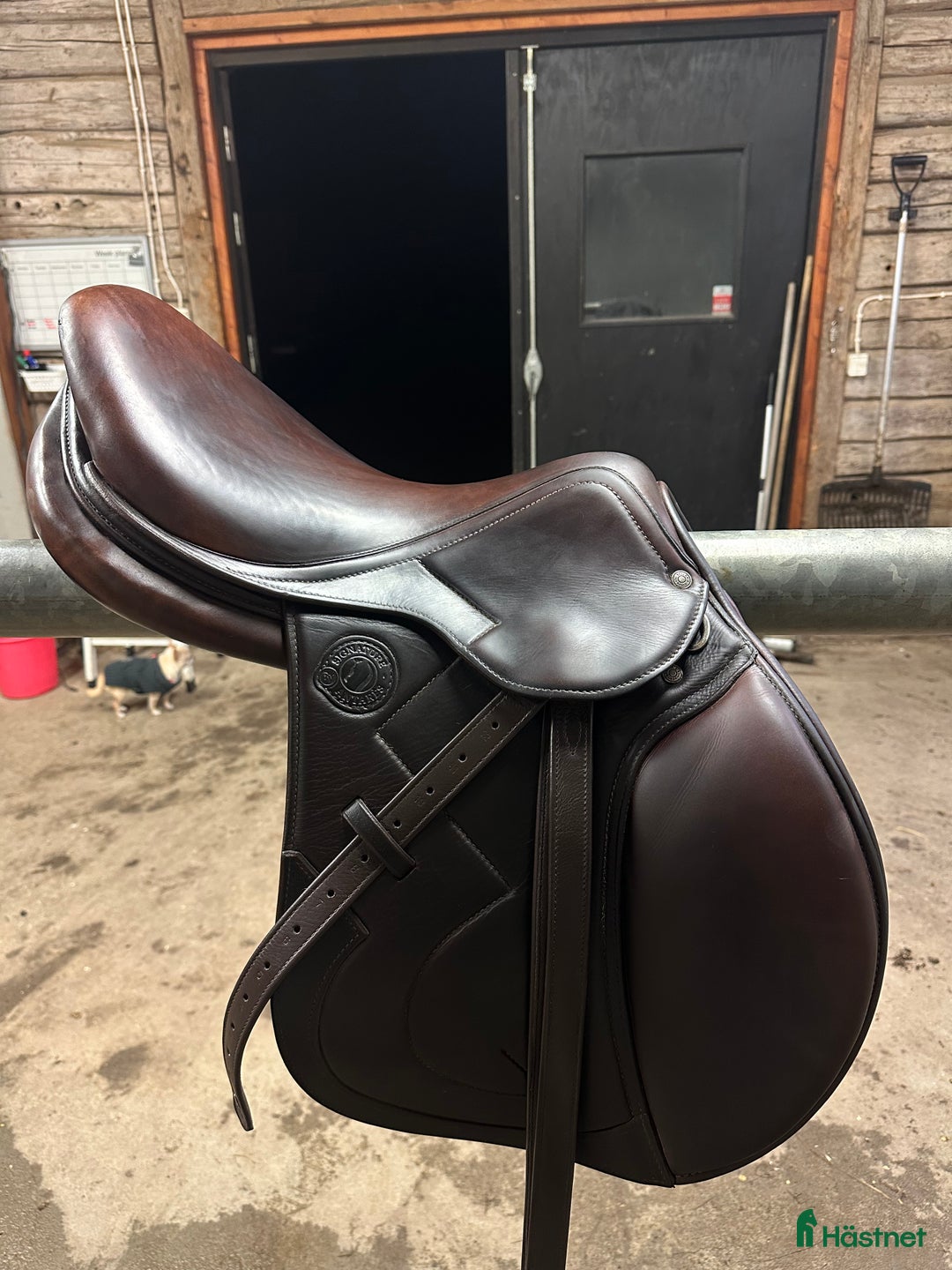 Sadlar hästutrustning till salu: Antares Signature  i Uppsala - Annons 8