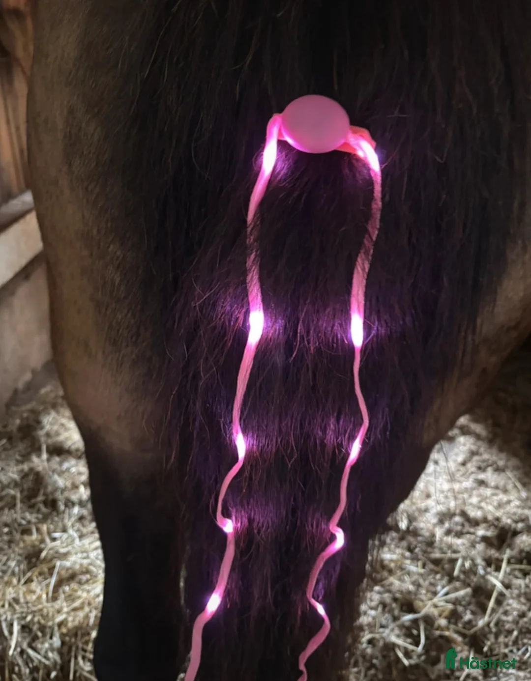 Övrig utrustning övrig utrustning till salu: Gul svansreflex i Villands Vånga - Annons 4