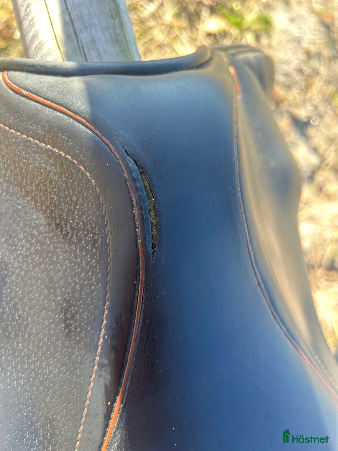 Sadlar hästutrustning till salu: Prestige Golden star - Annons 2