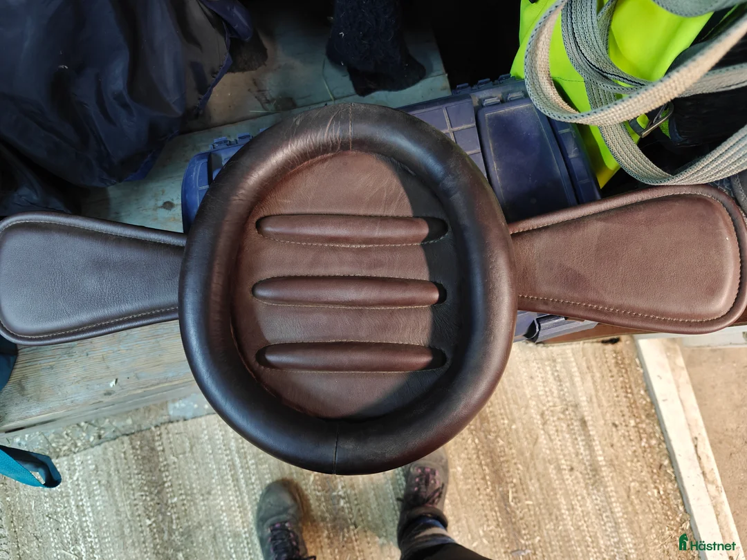 Sadeltillbehör hästutrustning till salu: Prestige RP dressyrgjord 50 cm i Eslöv - Annons 2